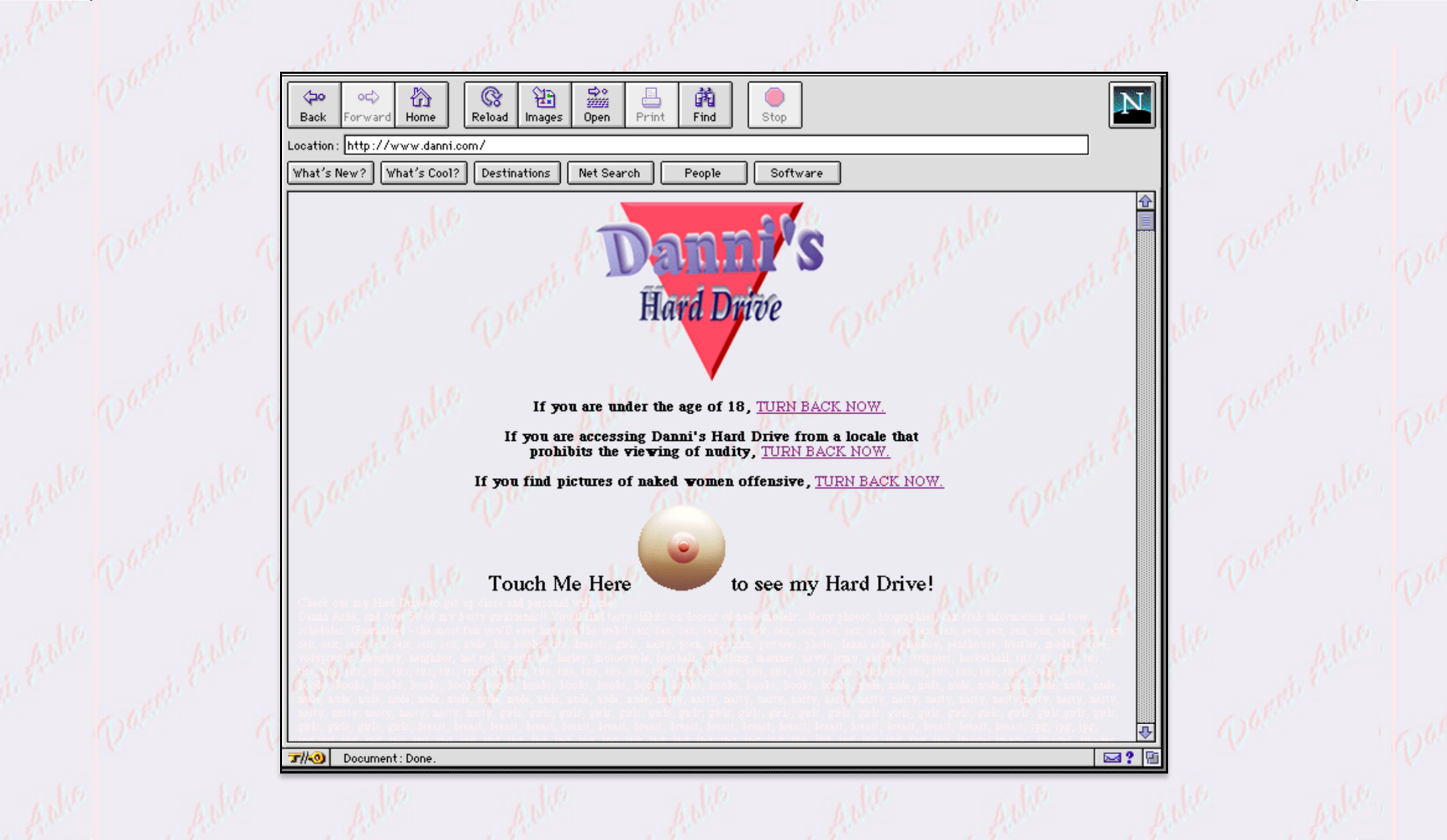 A 1990s-era web browser displays a vintage webpage title 